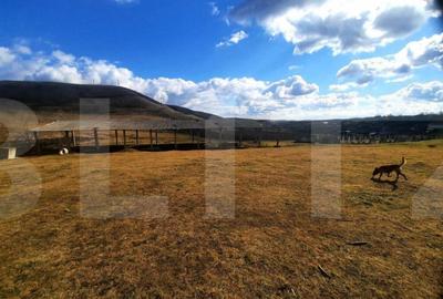 Teren de 49856 mp, în Someșeni - 3