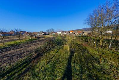 DE VANZARE Oportunitate rara proprietate cu 2 case zona Ulmeni - 31