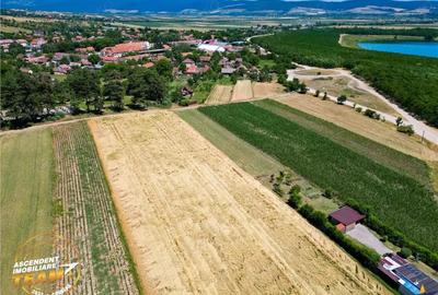 Teren de 2268 mp, în Valea Crișului - 6