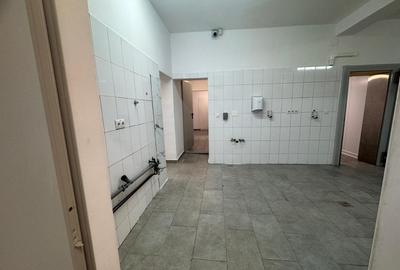 Spatiu cu alta destinatie Lipovei !!! - 4