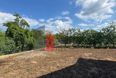 Casa la rosu in Peris - 3