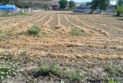 Teren de 3000 mp, în Hădăreni - 1
