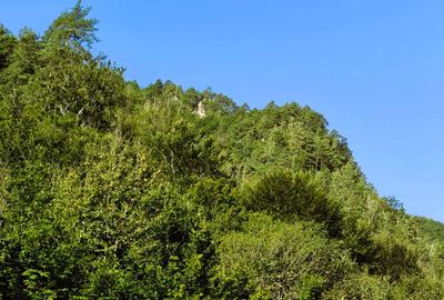 250 Ha TEREN PADURE pe VALEA OLTULUI, in Balota- Racovita, jud. Valcea, acces DE - 9