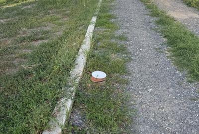 Deschidere stradala la DN1 sens spre Bucuresti - 4