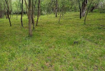 Teren de 1860 mp, în Valea Unghiului - 2