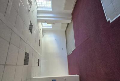 Spatiu comercial Media? Calafat 100 m2 - 8