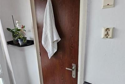Apartament 2 camere Centrul Civic Vedere Tampa - 3