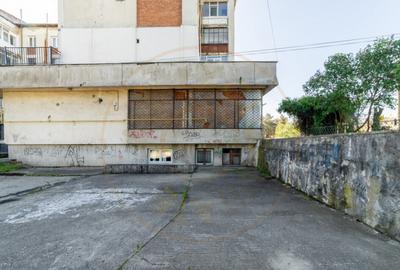 Inchiriere spatiu de depozitare 247 mp, curte 158 mp, Campul - 6