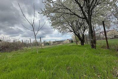 Teren de 1100 mp, în Bârnova - 6