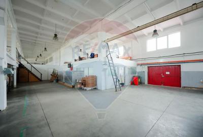 Spațiu industrial, de 1,249.0799560547 mp, în Exterior Vest - 7