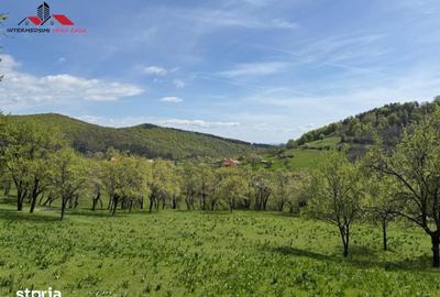 Teren de 8330 mp, în Vințu de Jos - 17