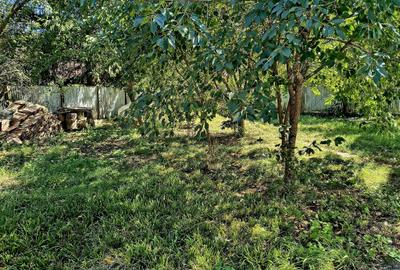 Casă individuală cu 4 camere cu Teren 1000 Mp în Brădet - 5