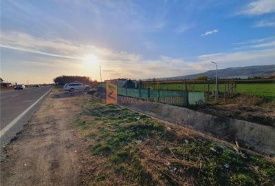 EXCLUSIVITATE! Oportunitate de afacere pe DN1, Pietroasele.COMISION 0! - 6