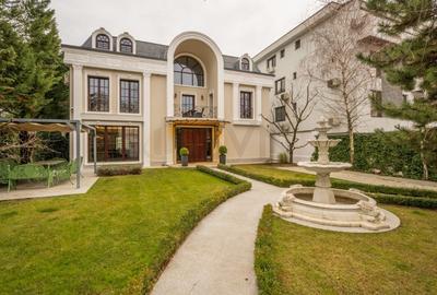 REV2004033 Vila Premium Iancu Nicolae - 3