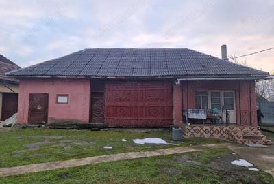 Casă cu Teren 1800 Mp în Mogoșești - 1