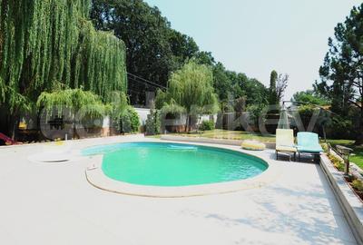 Vila cu 7 camere inconjurata de verdeata | piscina | 1178mp teren - 3