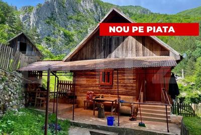 Casa de vacanta,3300 mp teren,Intregalde