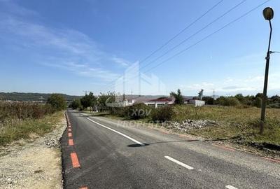 Constructie 3707 mp + Teren intravilan 8828 mp Sibiu /Selimbar - 8