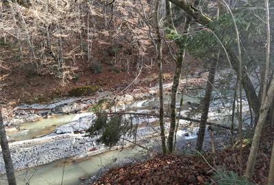 Vand teren in Brates, Neamt, cu iesire la raul Tarcau - 5