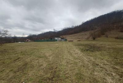 Casă cu 3 camere cu Teren 12861 Mp în Luncoiu de Jos - 2