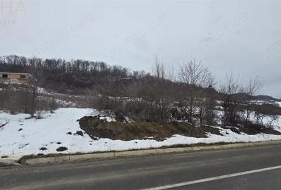 Teren de 3946 mp, în Jelna