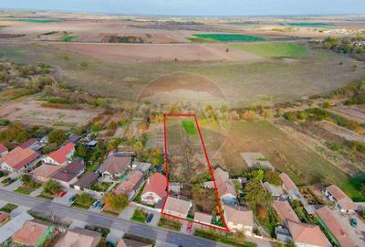 De vanzare casa cu teren de 3036 mp in Bor? - 7