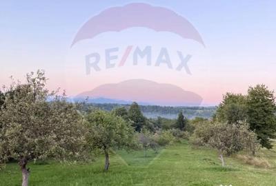 Teren de 4193 mp, în Breb - 7