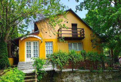 Cabana ta de vis #238;n inima naturii Padurea Neagra ... - 24