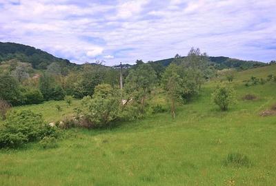 Zona in Expansiune, Teren Ideal pentru Afaceri Profitab... - 8