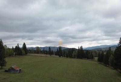 Teren 2804 mp, la munte! In Bucovina Fundu Moldovei! - 31