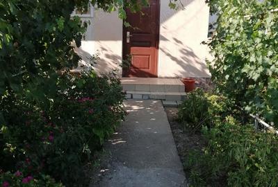 Casă cu 2 camere cu Teren 2300 Mp în Misleanu - 1