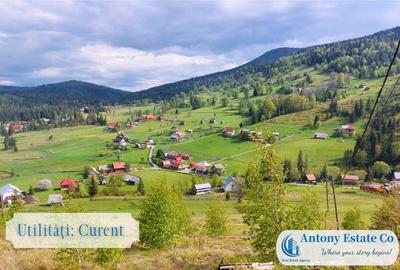 Teren de 3222 mp, în Galbena - 1