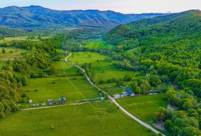 Teren agricol extravilan de 3352 mp, în Șinca Nouă - 10