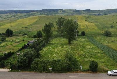 Teren de 2533 mp, în Săliște - 10