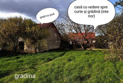 Casa cu curte ?i gradina - 2200mp - 8