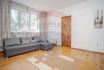 Apartament cu 2 camere semidecomandat, mobilat în Tudor Vladimirescu - 4