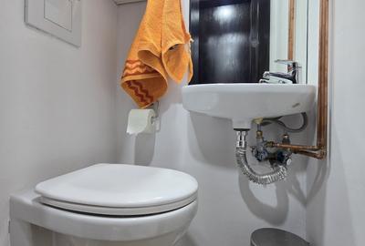 Bd Lacul Tei, Parcul Circului, apartament exceptional - 14