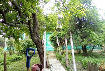 Casa de vanzare Baraitaru Ciorani Casa cu acte la zi - 4