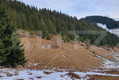 Teren în Fundata - 2