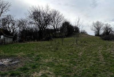 Teren de 1583 mp, în Central