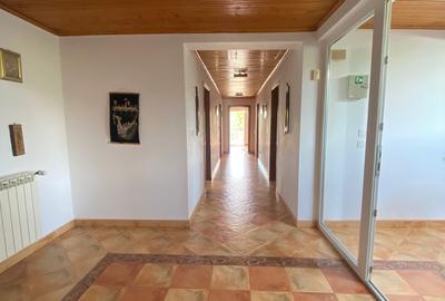 Casă individuală cu 9 camere cu Canalizare în Roșu - 15