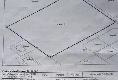 Teren de 10000 mp, în Mehala - 1