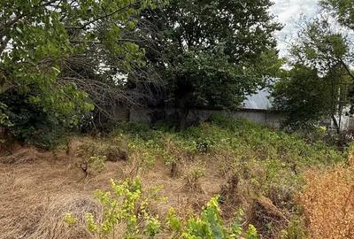 Casă cu Teren 1000 Mp în Vâlcelele - 5