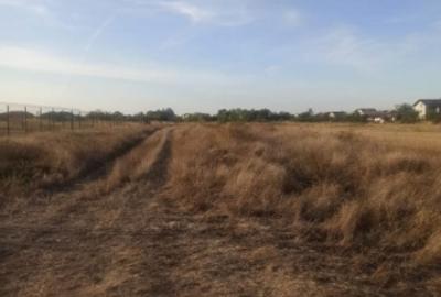 Teren Intravilan | Clinceni - Str Ortansei | 512mp | Utilitati - 4