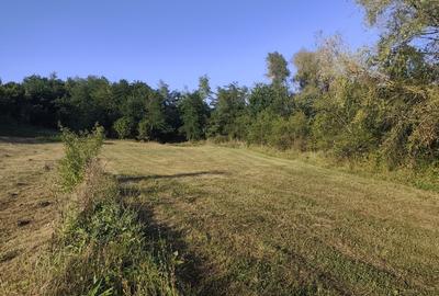 Sat Glodeni, jud. Dambovita - 4