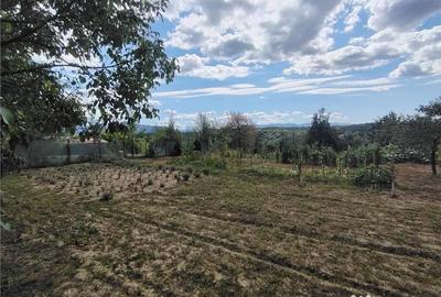 Teren de 2400 mp, în Săliște - 4