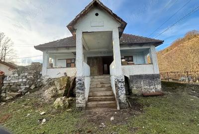 Casa, curte ?i gradina in Densu?