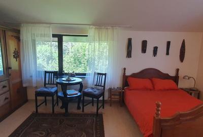 Vila spatioasa Sisesti, Vatra Noua - Padurea Baneasa - 25