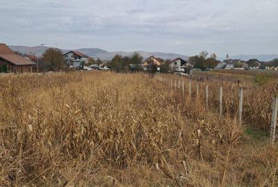 Casa+teren de vanzare - 3