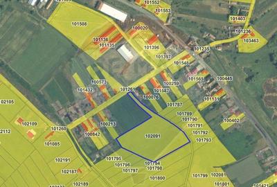 Teren de vanzare Blajel, jud. Sibiu | 15.360 mp - p... - 2